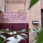 The Shelter