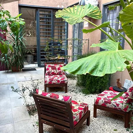 The Shelter Appartement *