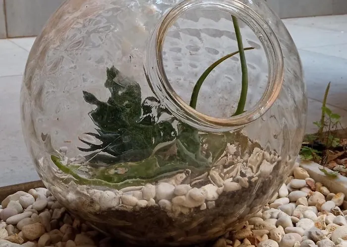 Apartamento The Shelter Roma