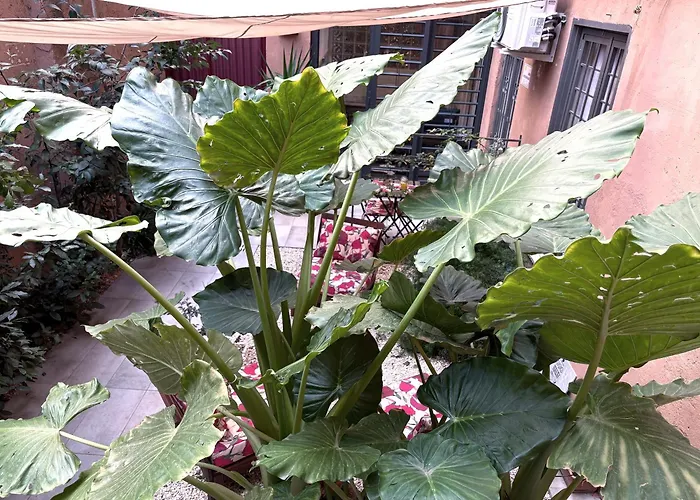 Apartamento The Shelter Roma